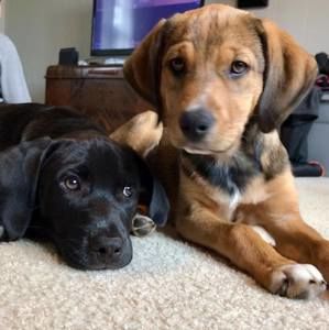 Meet your Posher, Becky